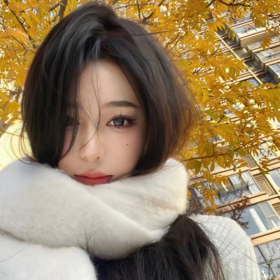 纳粹的攻击